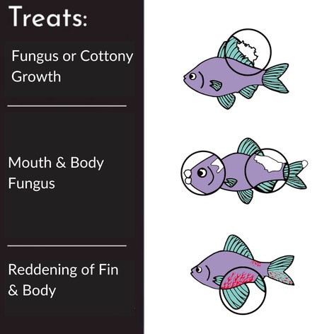 image PIMAFIX%20TREATS