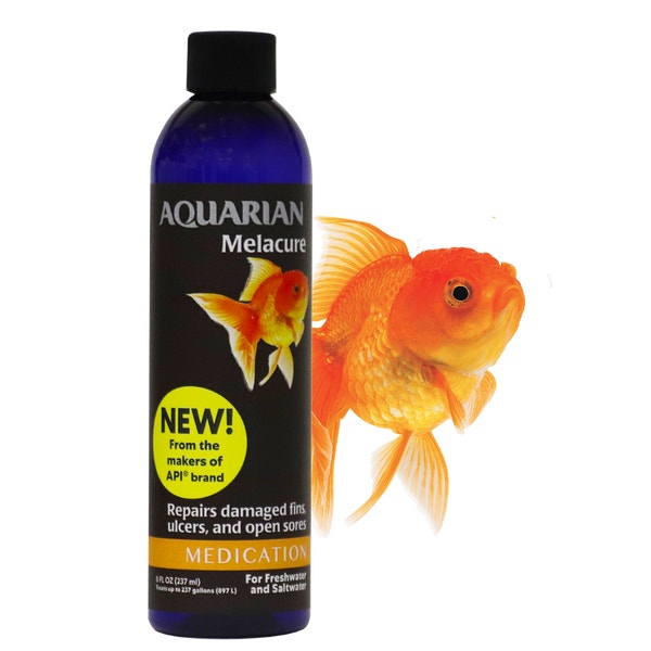 image MicrosoftTeams-image%20%283%29_0