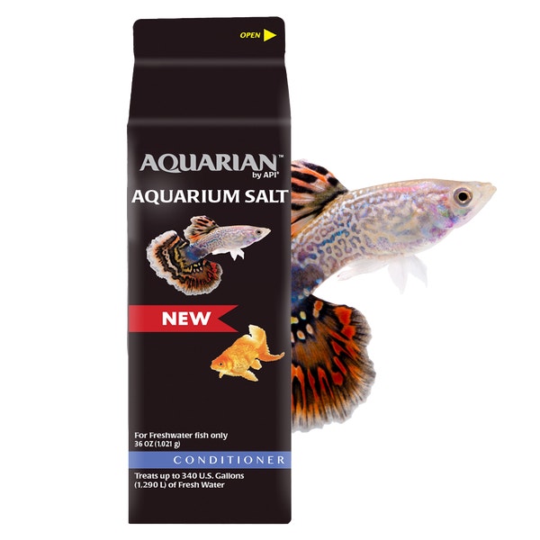 image AQSalt_Aug29Image