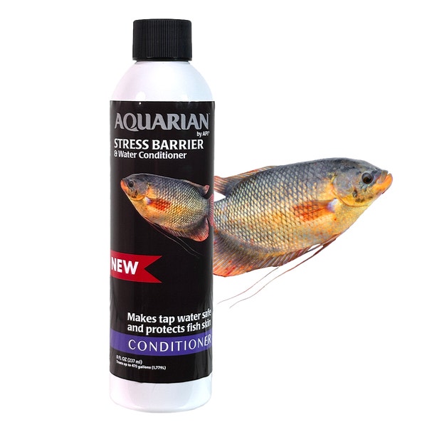 image StressBarrier_Aug29Image